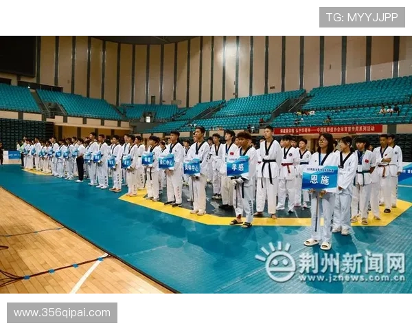 2026年湖北省跆拳道比赛精彩回顾与选手风采